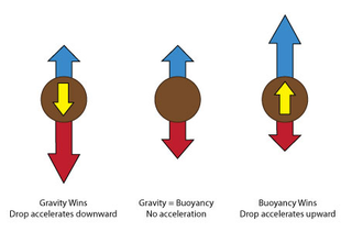 Illustration for article titled What do we mean by "how much oil is left" in the Gulf?